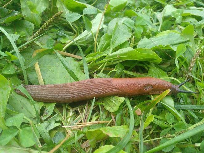 Noclegi Bierun Uramex Image