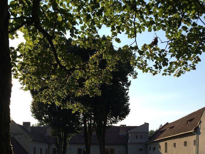 Castle dziegielow