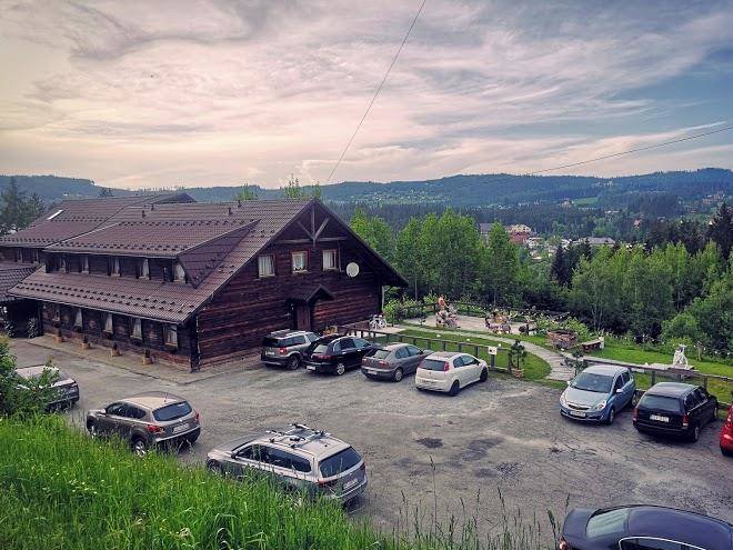 Czarna owca