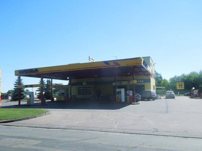 Wega placzynski