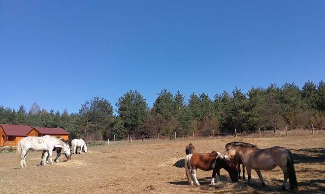 Stable rancho passion