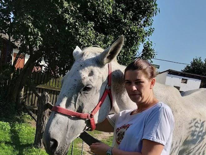 Gospodarstwo agroturystyczne u zdzichaw baltowie