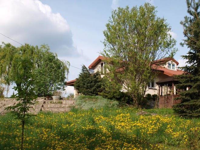 Swierkowe wzgorze
