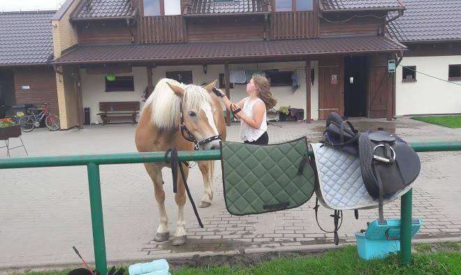 Gospodarstwo agroturystyczne milejewko