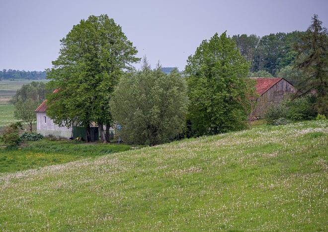 Gosciniec zelowka
