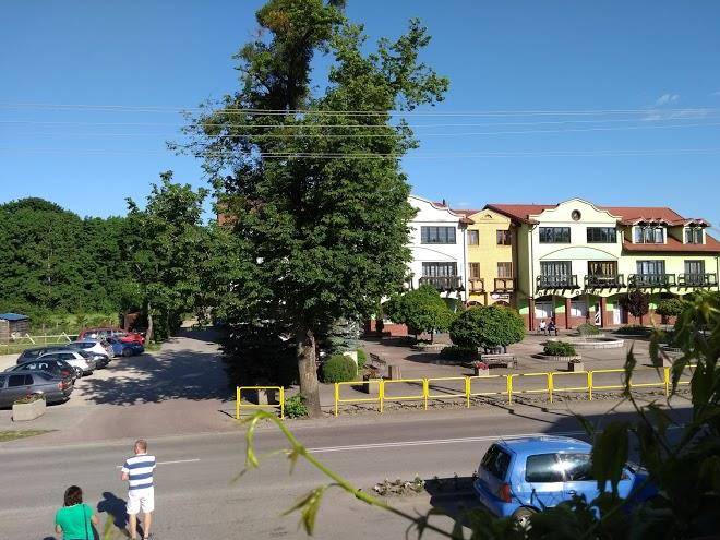 Kruklanki sloneczne