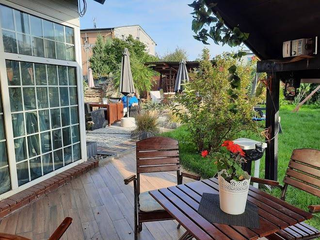 Willa Cosmos & Champion Image