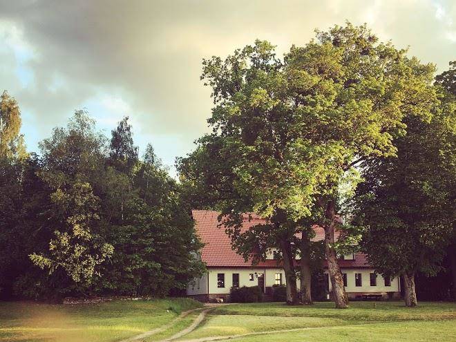 Dwor szwalk