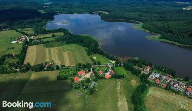 Pod taborskimi sosnami