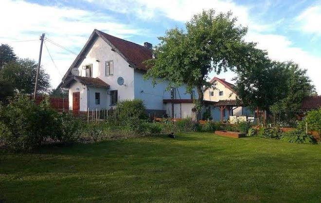 Domek w szuwarach
