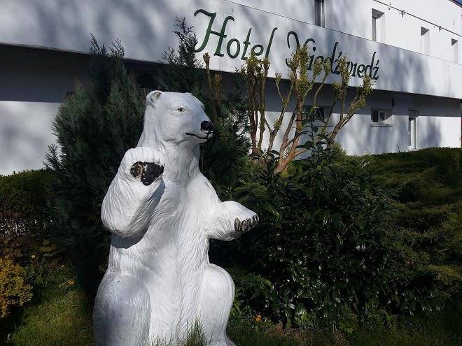 Hotel niedzwiedz
