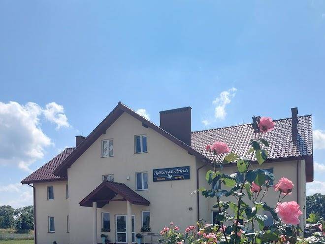 Przystanek czapla