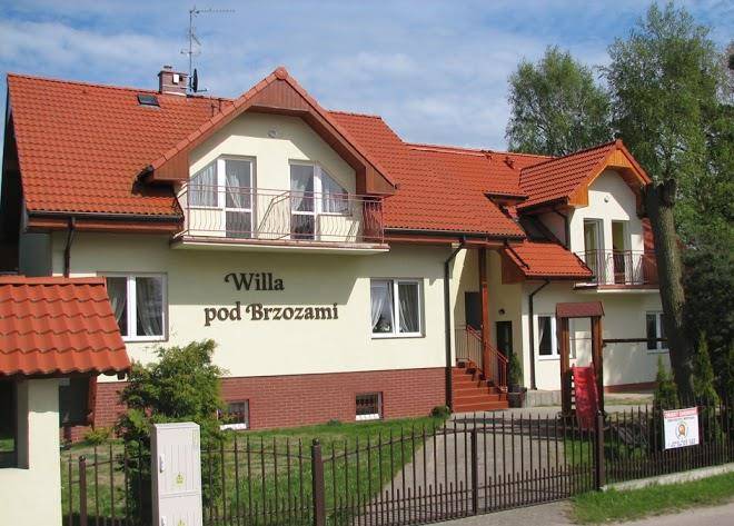 Willa pod brzozami