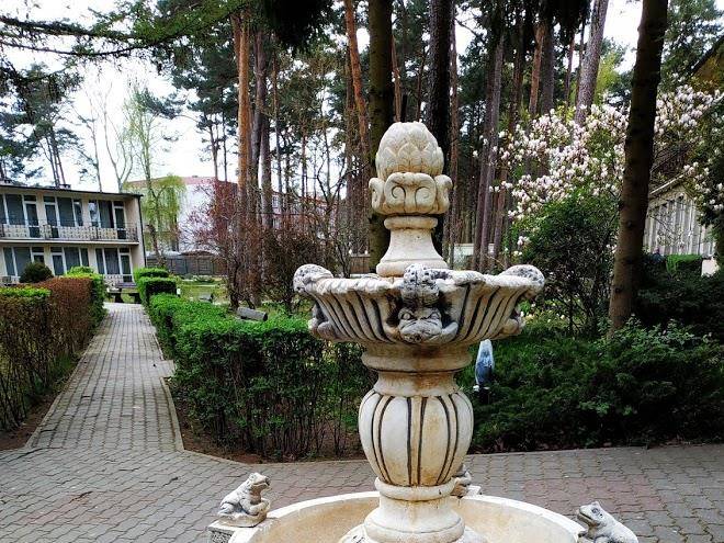 Osrodek miedzycechowy w miedzywodziu