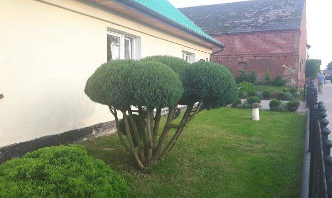 Gospodarstwo Agroturystyczne U Ewy I Marka Image