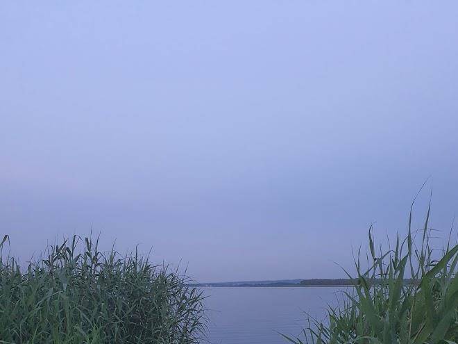 Przyjaciol 13