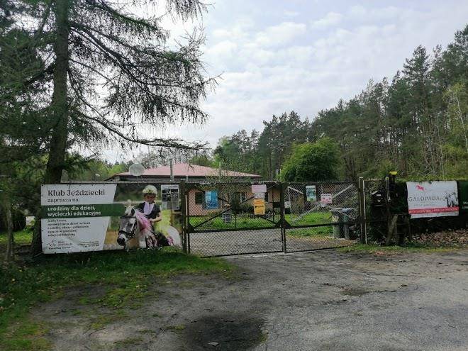 Horse grove tanowo