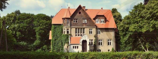 Palac mysliwski orle solutions