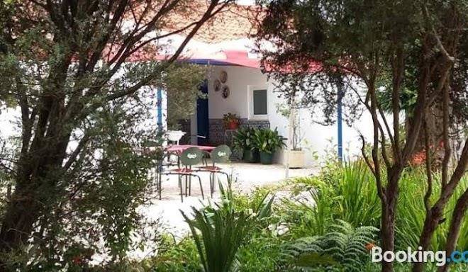 Quinta d'avo amelia