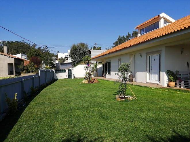 Terreno das mimosas