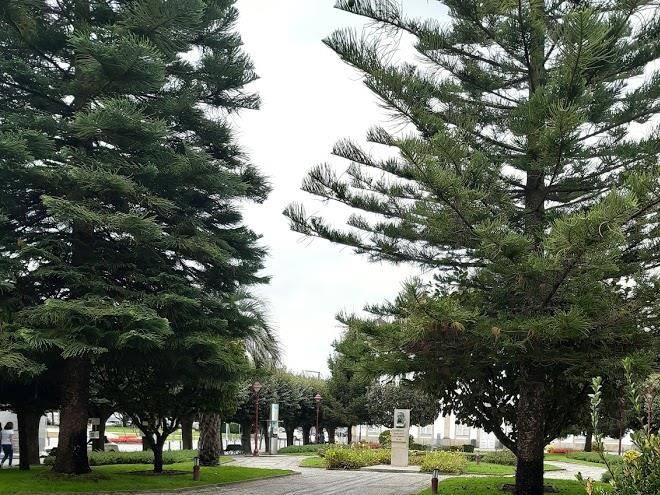 Portagem bairrada center