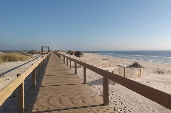 Orbitur vagueira
