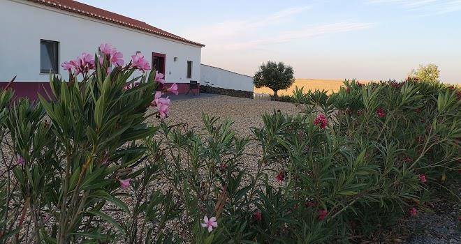 Herdade das fontes barbaras