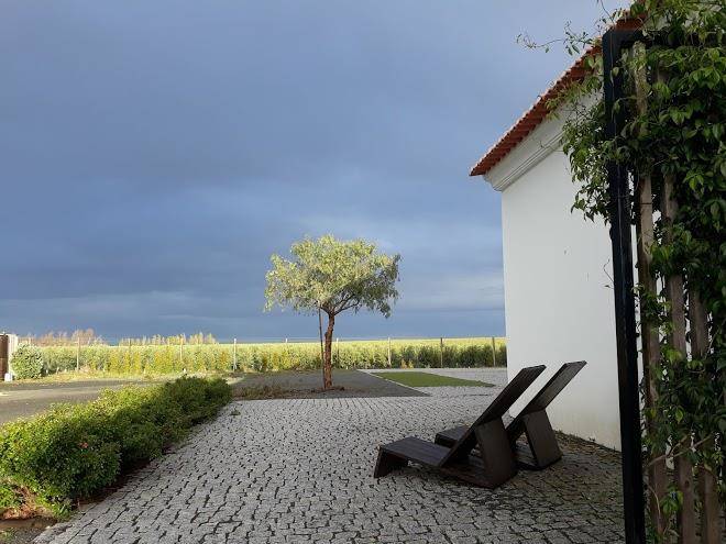 Terras agroturismo & vinhos