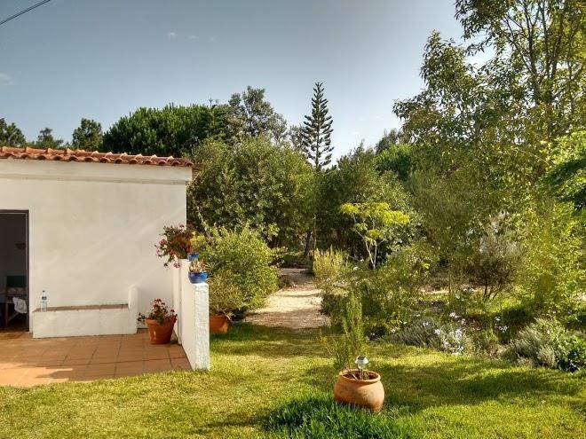 Monte das buganvilias