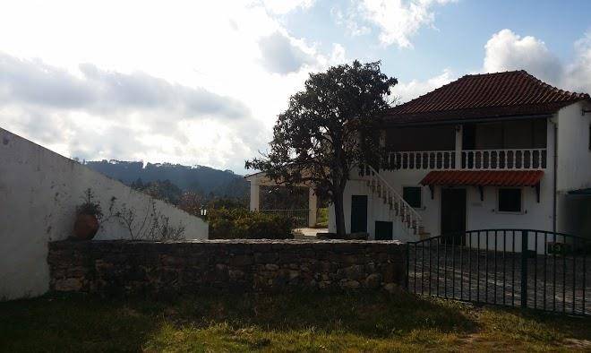 Quinta vida verde