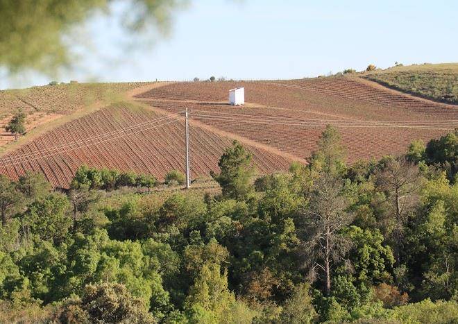 Vinhos jose preto