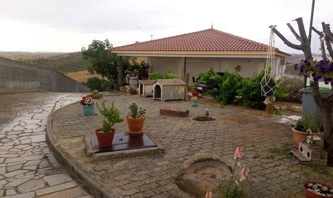 Quinta san gennaro