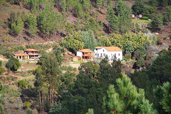 Yoga evolution retreat centre