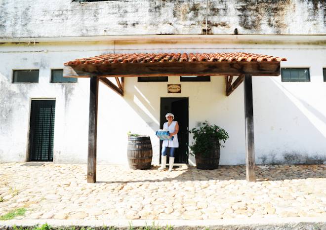 Vumba organic farm agroturism