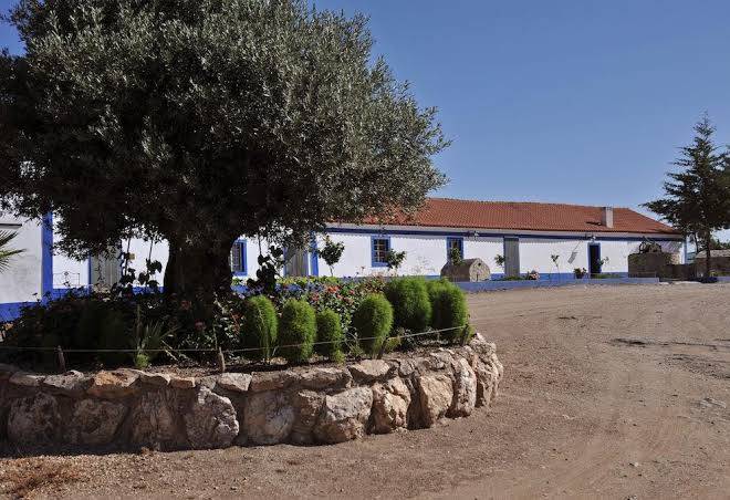Monte das galhanas