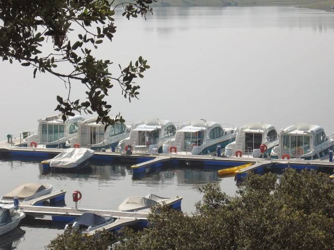 Amieira marina