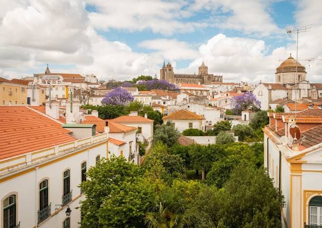 Evora olive hotel