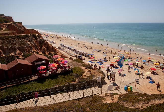 Algarve gardens