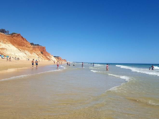 Beach falesia alfamar