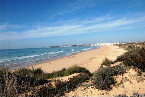 Bellavita city faro