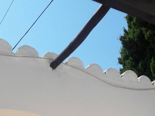 Lagos paradisus