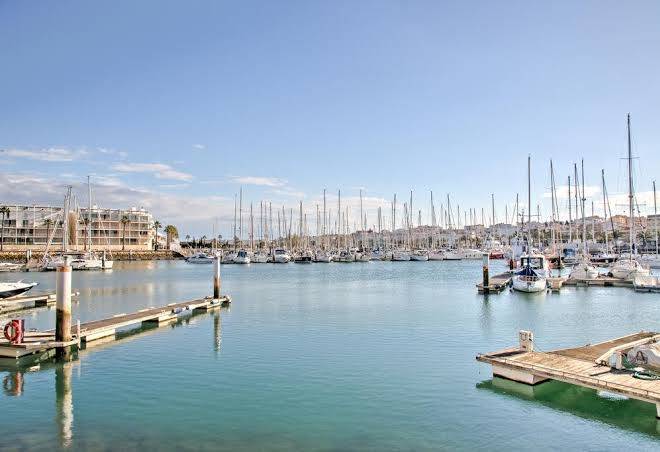 Quinta De Sao Roque Administracao Lda Image