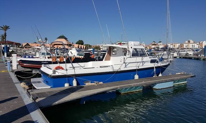 Algardia marina