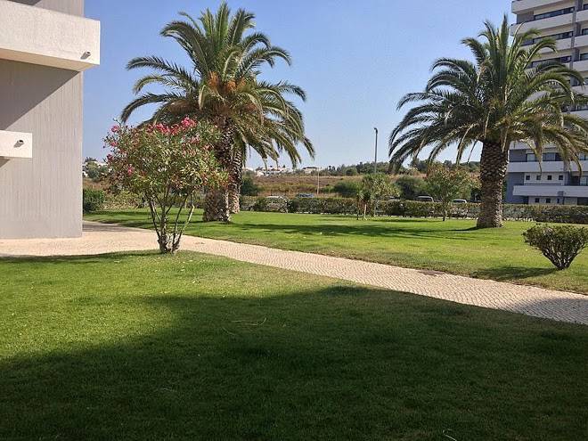 Torralta alvor beach 601