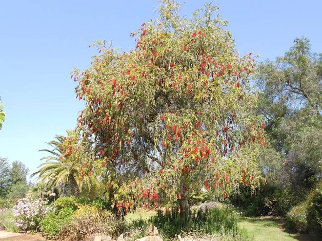 Cerro vista