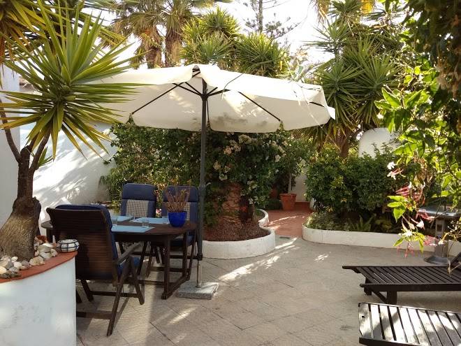 Oasis verde