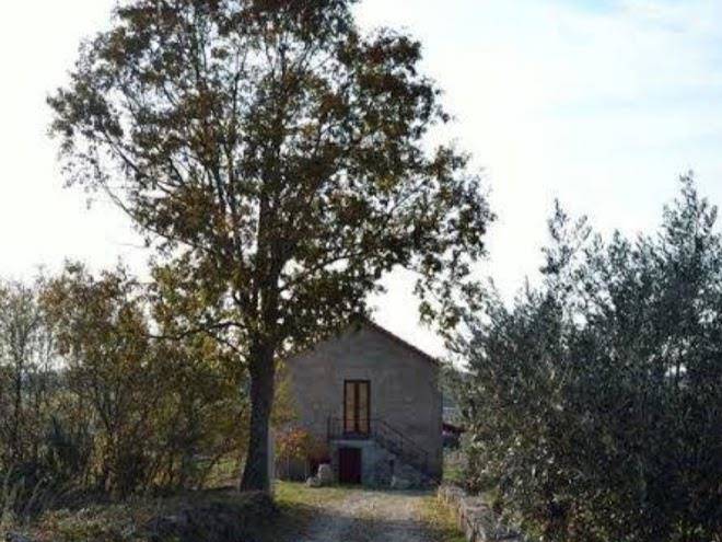 Retiro da lameira