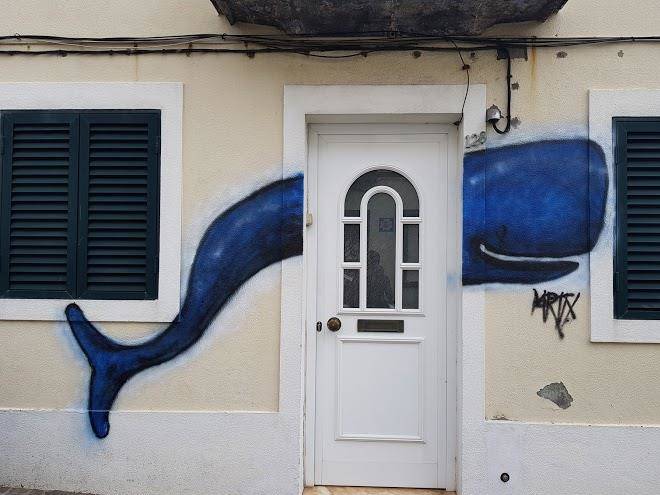 Big fat whale