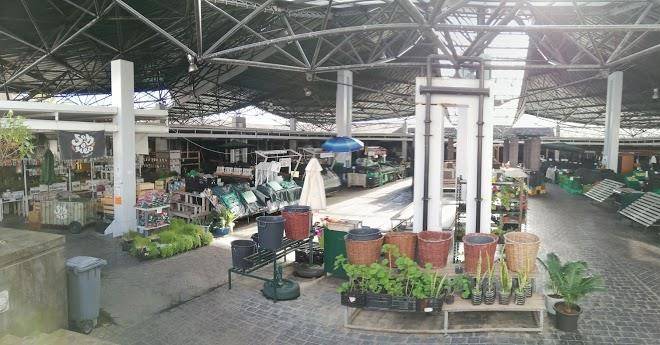 Restaurante Alcides Image