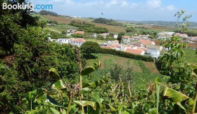 Cantinho das beiras rral 709